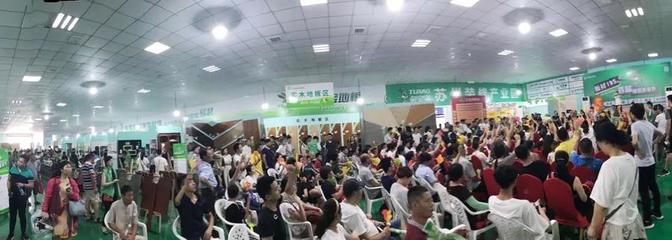 兔寶寶環(huán)保行7月29日蘇州站 綠色裝飾，感恩回饋